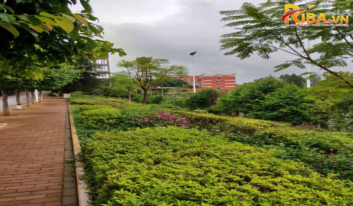 Đại học Nông nghiệp Vân Nam