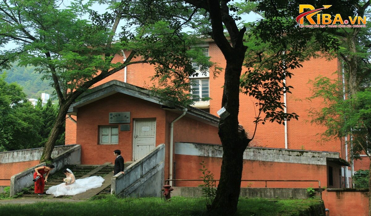 Đại học Trung Nam