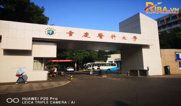 Đại học Y Trùng Khánh