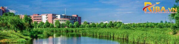 Đại học Dệt may Vũ Hán