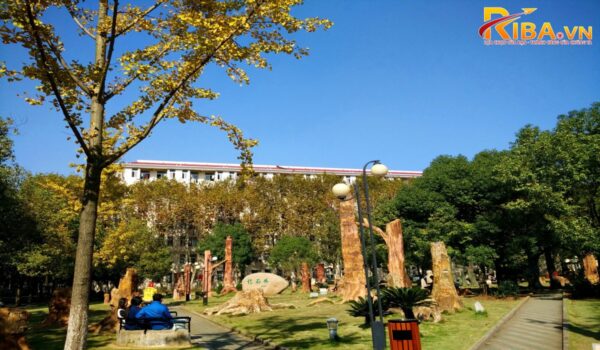 Đại học Địa chất Trung Quốc (Vũ Hán)