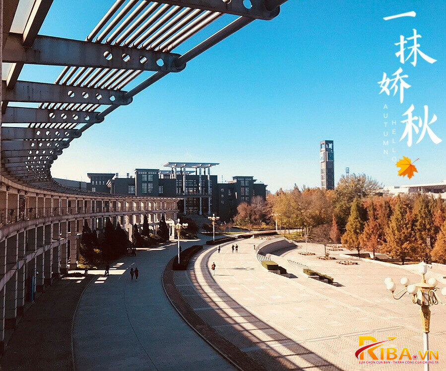 Đại học Công thương Bắc Kinh