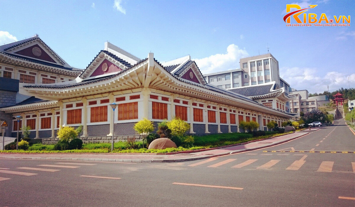 Đại học Diên Biên