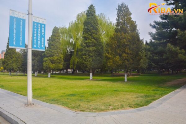 Đại học Nội Mông Cổ