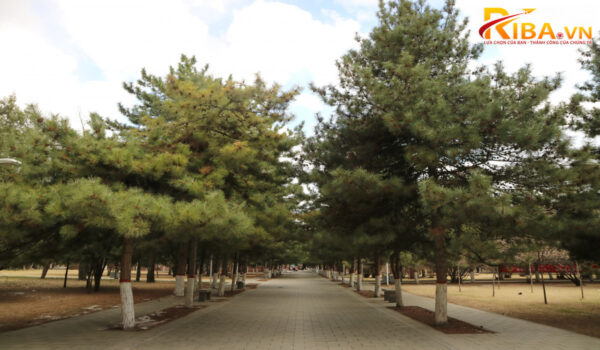 Đại học Nội Mông Cổ