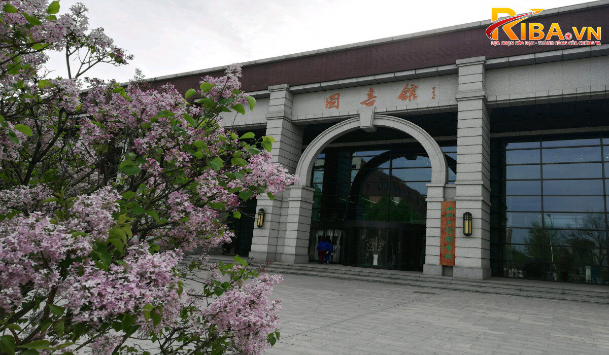 Đại học Sơn Tây