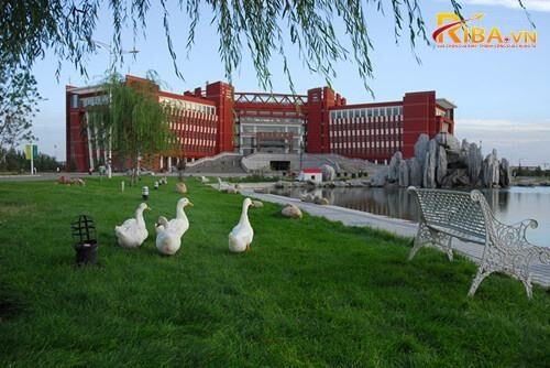 Đại học Sư phạm Nội Mông Cổ