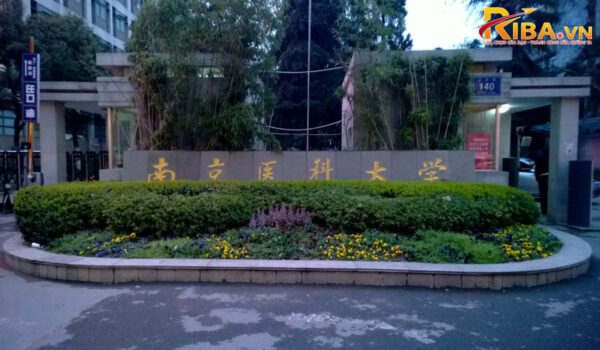 Đại học Y Nam Kinh