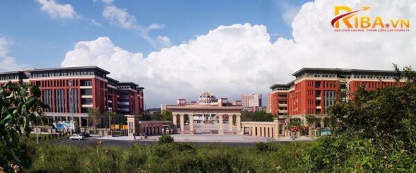Đại học Y Quảng Châu