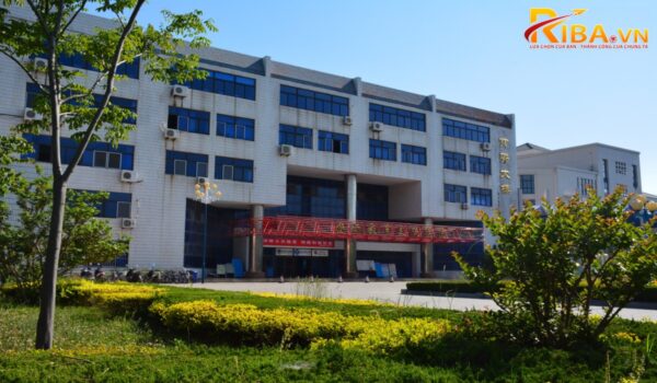 Đại học Yên Đài