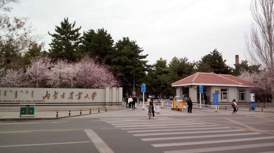 trường đại học có diện tích lớn nhất Trung Quốc